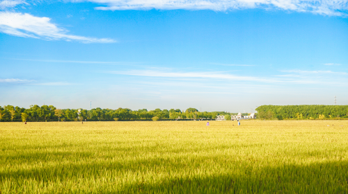 中共中央 国务院与国家能源局相继印发重磅文件、苏/蒙/浙/鲁等地光储新政