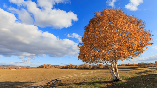 国家能源局发布《可再生能源绿色电力证书核发和交易规则》、能源法草案二审将有新调整、地方风光储新政…… 