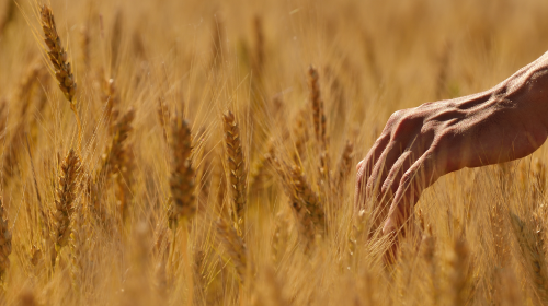 习近平发表重要讲话、能源法（草案二次审议稿）公开征求意见、8月规上工业风光发电增长情况公布……