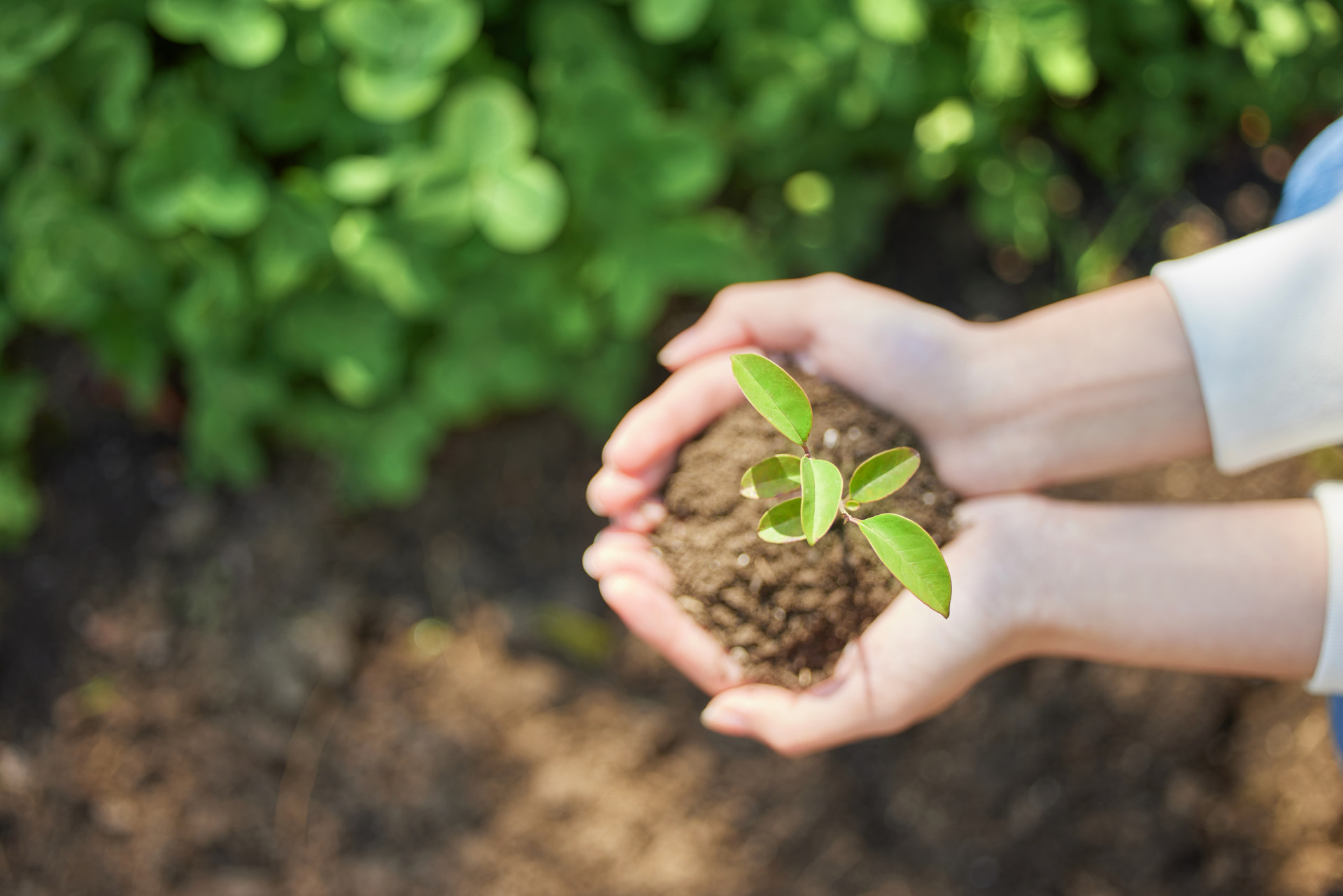 履行社会责任，助力乡村振兴?